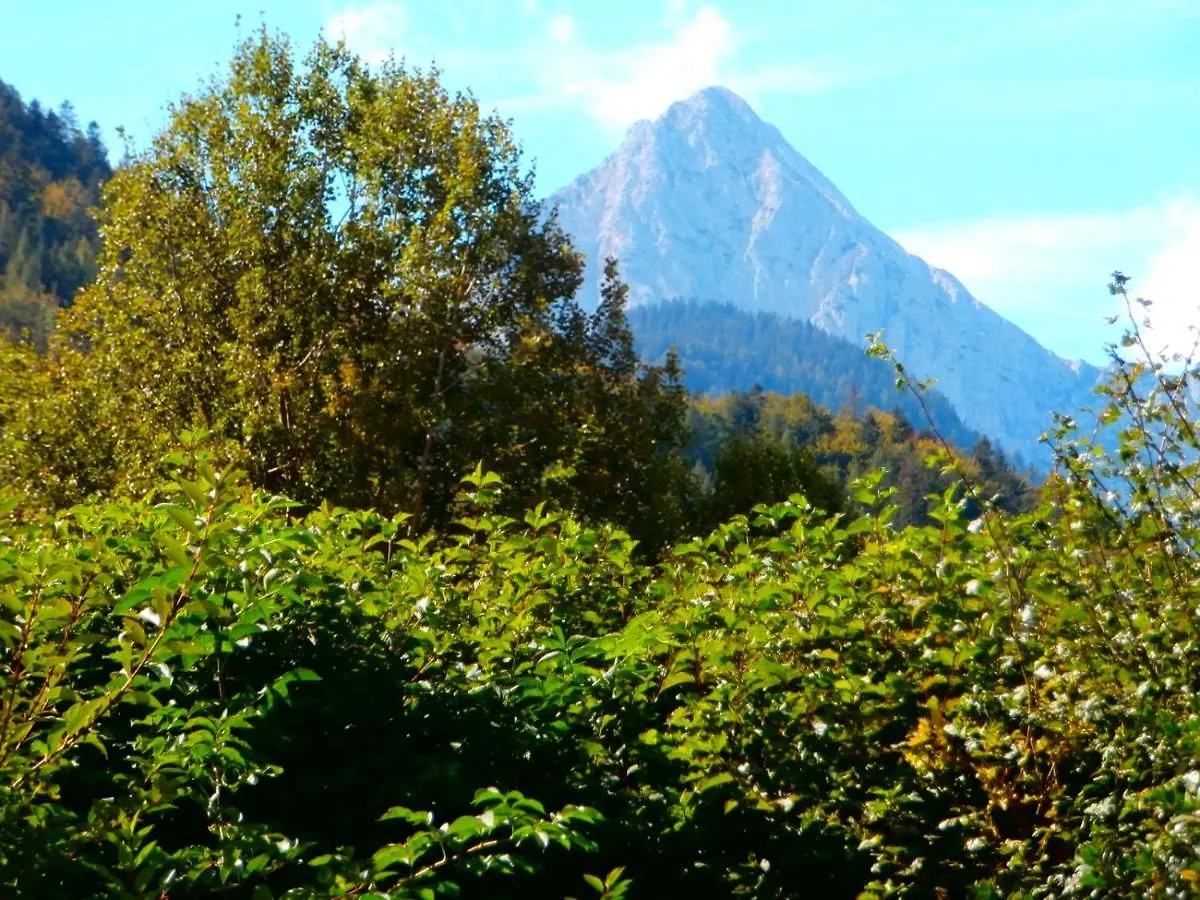 Apartamento Haus Alois Mittenwald